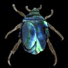 Junebug
