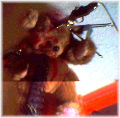 Pics by D=RoK (bear by Kim)