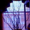tree in the window by imperfect